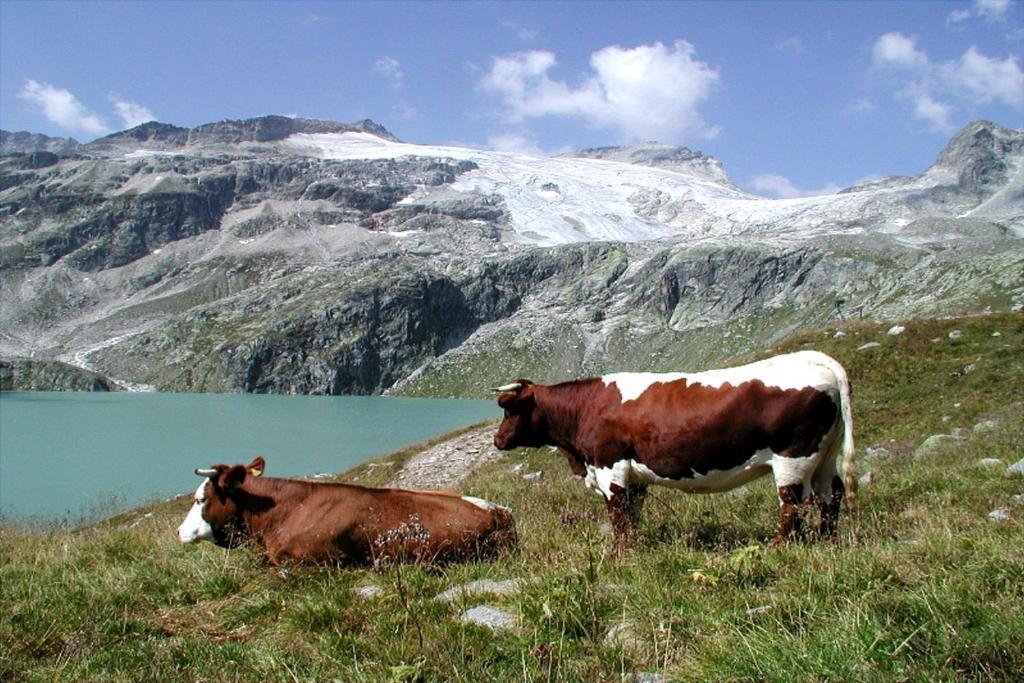 Pension Stubachblick Uttendorf Buitenkant foto